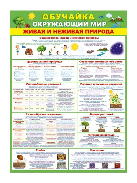 Мир открыток Обучающие плакаты постер для детей Окружающий мир