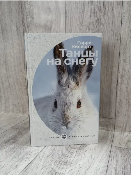 Амфора Танцы на снегу