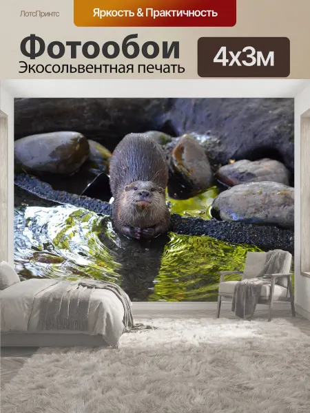 LotsPrints Фотообои "Выдра, зоопарк, милый" 4x3м