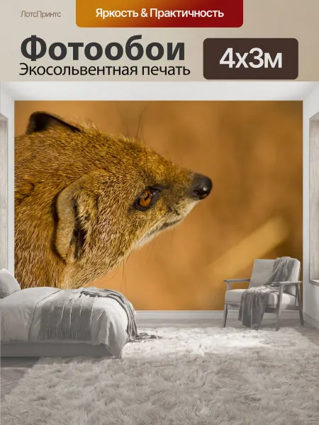LotsPrints Фотообои "Мангуста, животное, дикая природа" 4x3м