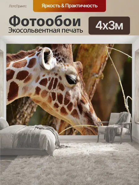 LotsPrints Фотообои "Жирафа, зоопарк, животное" 4x3м