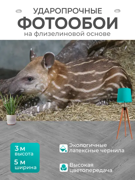 LotsPrints Фотообои "Животные, млекопитающее, странный" 5x3м