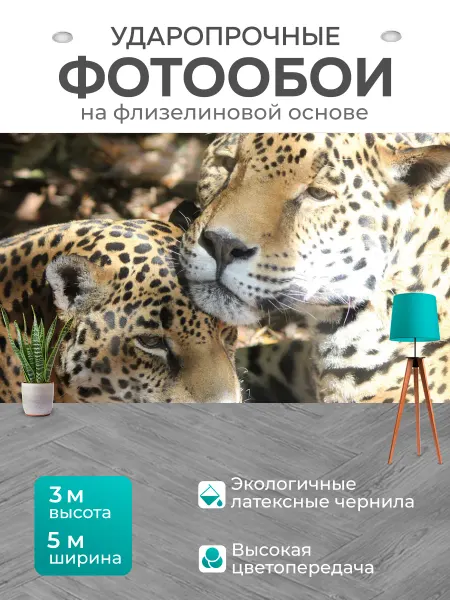 LotsPrints Фотообои "Ягуар, кошка, зоопарк" 5x3м
