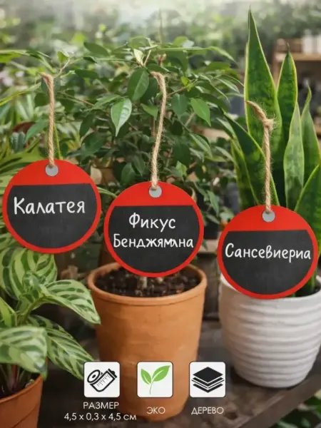 Сималенд Таблички для рассады садовые