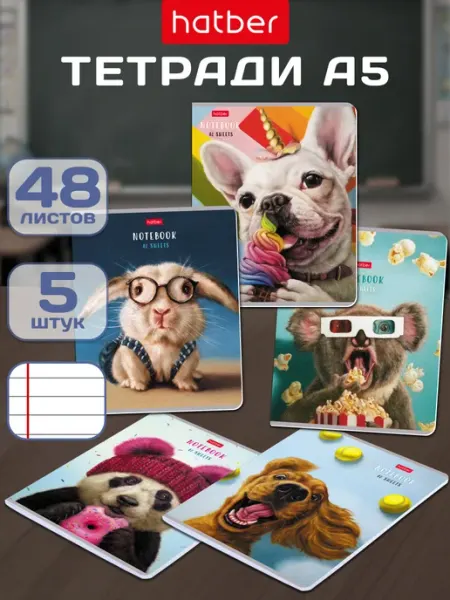Hatber Тетрадь 48 листов в линейку 2 штуки
