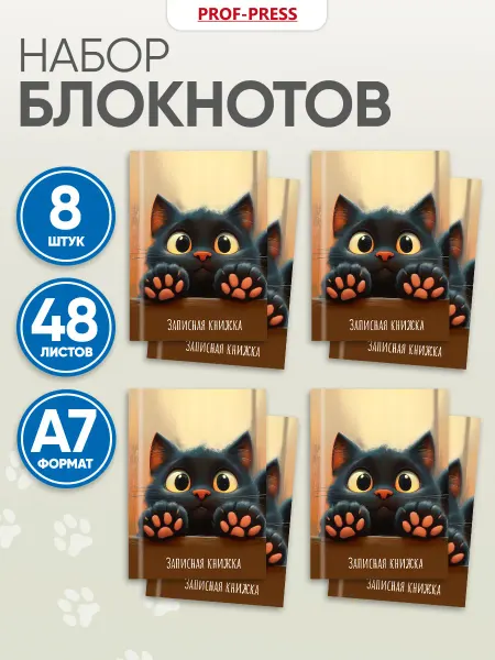 Prof-Press Набор блокнотов А7, 48 листов 8 шт