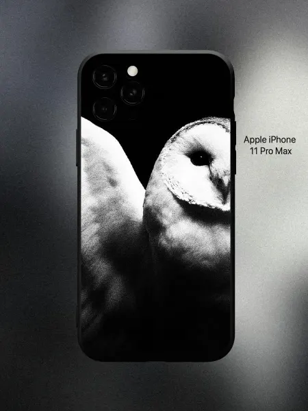 ABX-case Чехол на iPhone 11 Pro Max сова