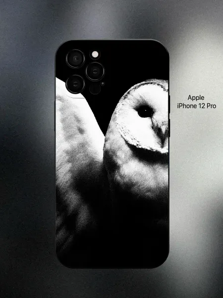 ABX-case Чехол на iPhone 12 Pro сова