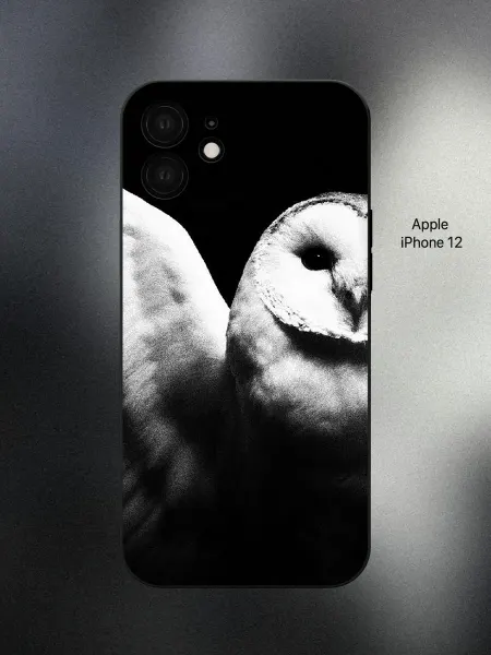ABX-case Чехол на iPhone 12 сова