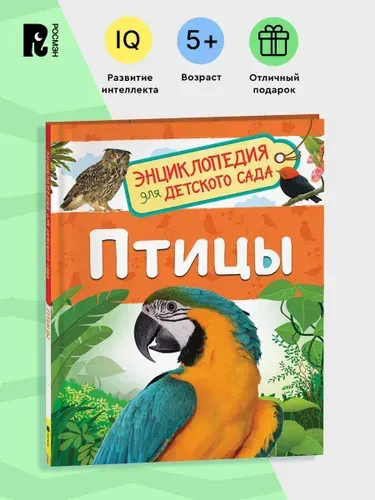 Птицы. Энциклопедия для детского сада для детей от 4-5 лет | Гальцева Светлана Николаевна