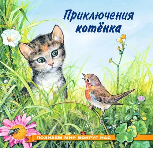 Приключения котенка | Гурина Ирина Валерьевна