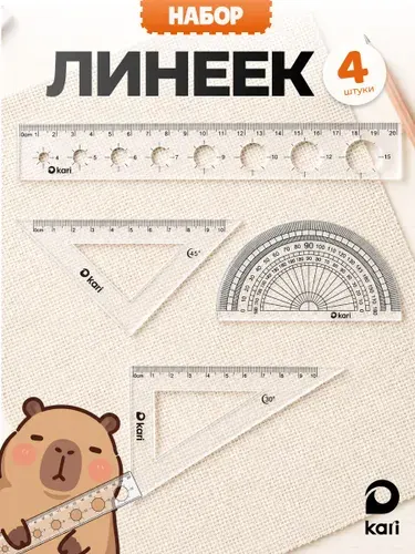 Набор школьных линеек для черчения, 4 штуки, Капибара