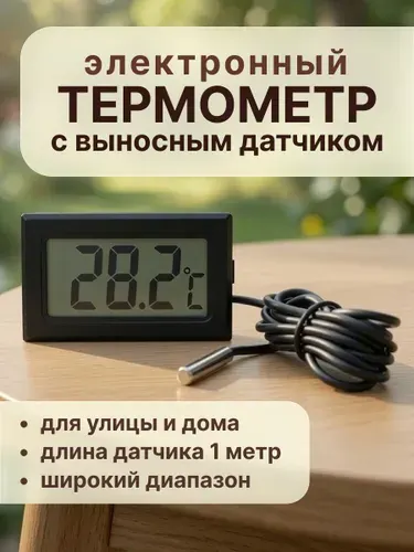 Термометр с выносным датчиком черный