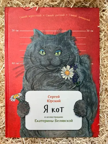 Я кот | Юрский Сергей | Книга б/у
