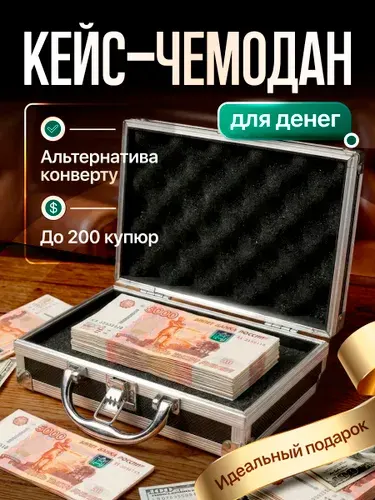 Чемодан-кейс для денег мини