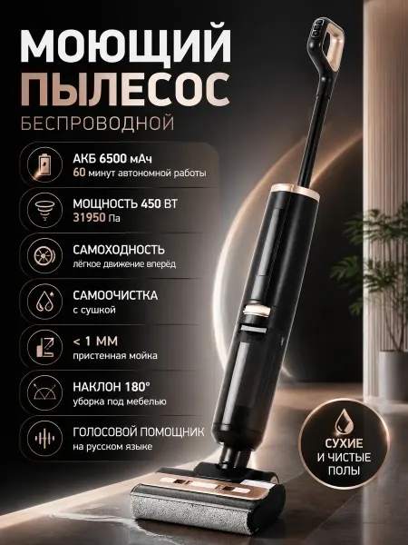 BarryBarbb Моющий пылесос вертикальный для дома 3 в 1