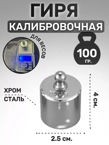 PLANETAVESOV Гиря калибровочная 100 гр