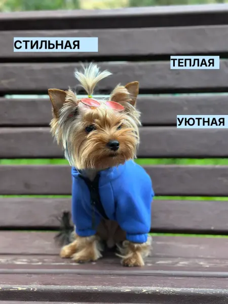 BarkDog кофта толстовка для собак мелких пород