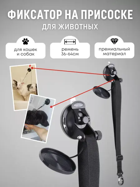 PetsPro Фиксатор присоска для мытья кошек и собак