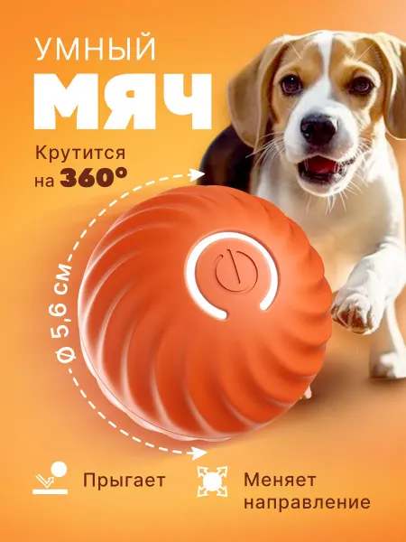 Purrfect Place Интерактивная игрушка для собак умный мяч