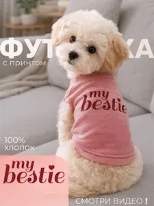 Футболка для животных с милым модным принтом