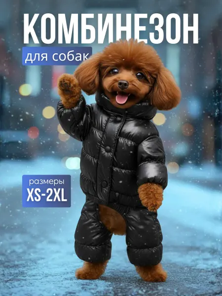 ALFY Комбинезон, куртка для собак