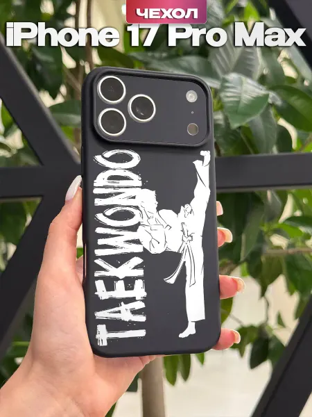 PBl store Чехол на iPhone 17 Pro Max с принтом Сноубордист