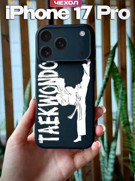 PBl store Чехол на iPhone 17 Pro с принтом Тхэквондо