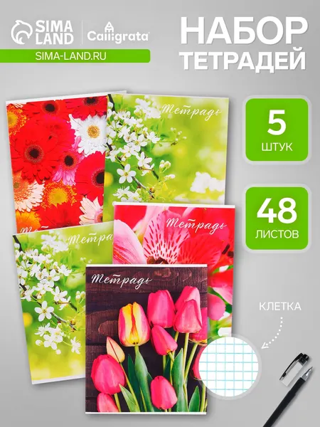 Calligrata Набор тетрадей 48 листов в клетку