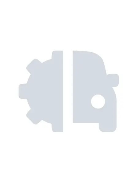 TRIALLI Ролик натяжителя ремня Ford Transit (06-) 2.4d