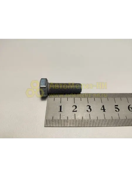 КРАСНАЯ ЭТНА Болт М8х1х25 нижнего шарнира 31105 20 шт