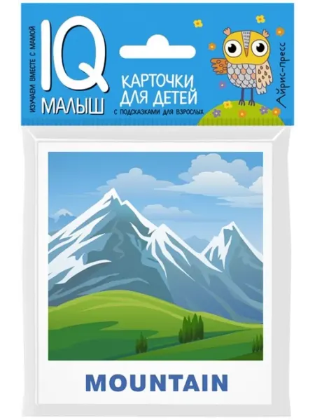АЙРИС-пресс Умный малыш. ENGLISH. Природа. Набор карточек
