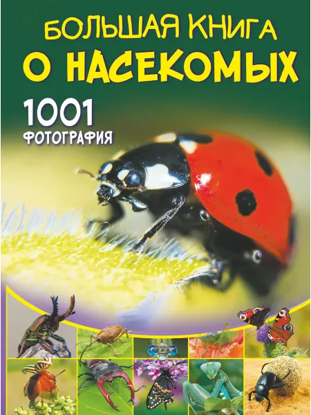 АСТ Большая книга о насекомых