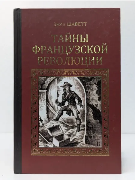 Вече Серия исторических романов. Тайны французской революции