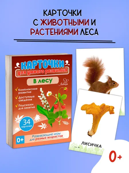 ИД ЛИТЕРА Развивающие карточки для детей. В лесу