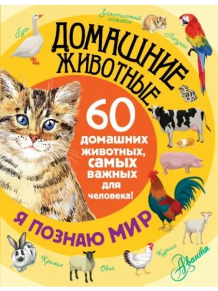 АСТ Домашние животные