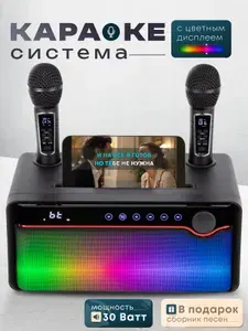 Караоке система с двумя беспроводными микрофонами