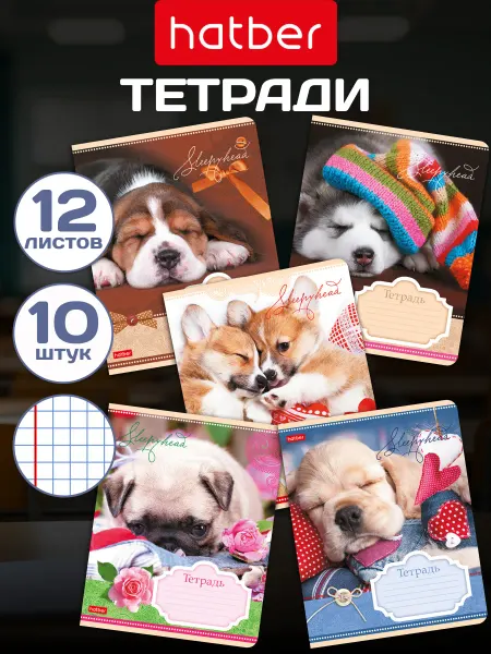 Hatber Тетрадь в клетку 12 листов 10 штук Сони-Засони