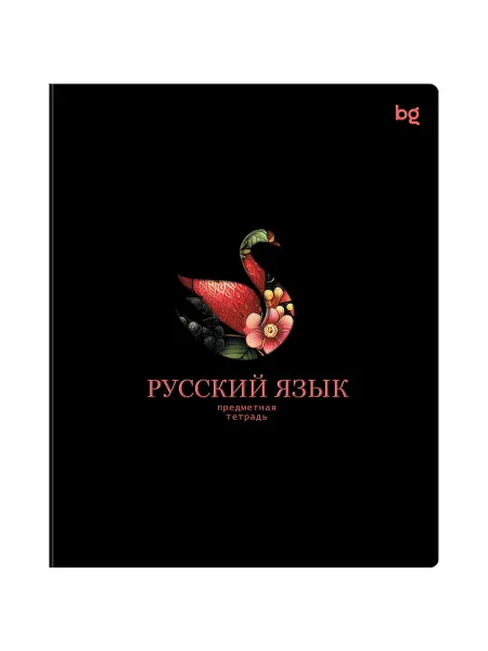 Тетрадь 48л Русский Информационное поле 63879 BG 2шт