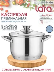 Кастрюля с крышкой из нержавеющей стали 5,1 л