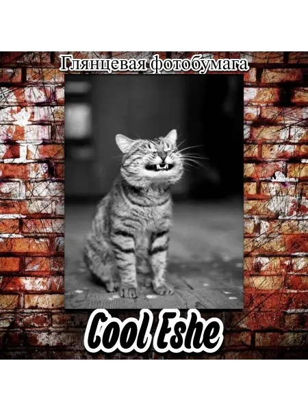 Cool Eshe Постер "Котик улыбается, чб-фото" А2