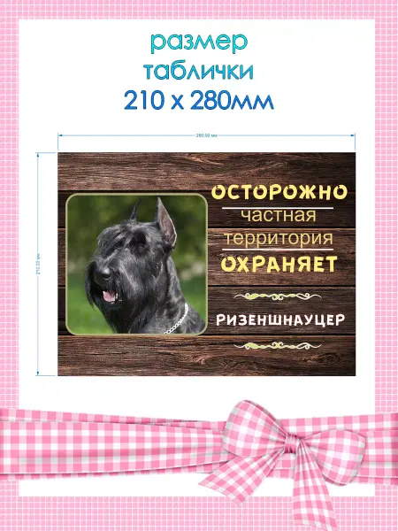 Таблички информационные Табличка злая собака ризеншнауцер