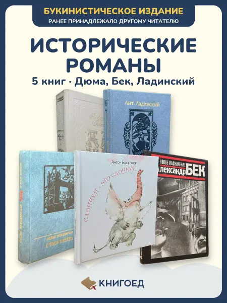 Книгоед Исторические романы Дюма классика Бек Ладинский 5 книг
