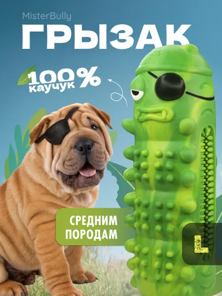 MisterBully Игрушка грызак для собак средних пород прочная с пищалкой