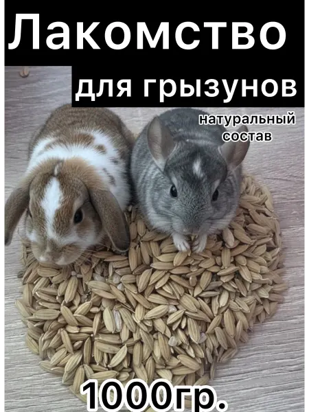 Лакомство для грызунов хомяков кроликов