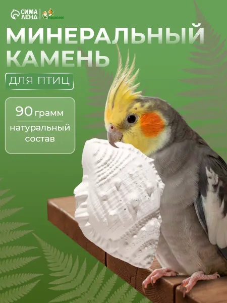Пижон Минеральный камень для птиц Ракушка