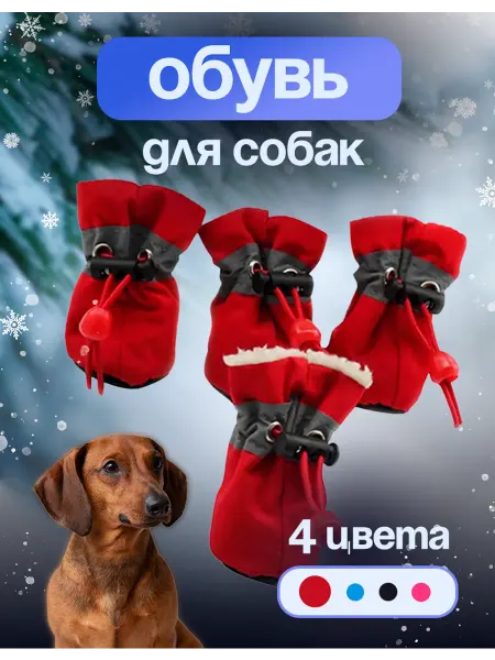 TOFF STORE Обувь для собак