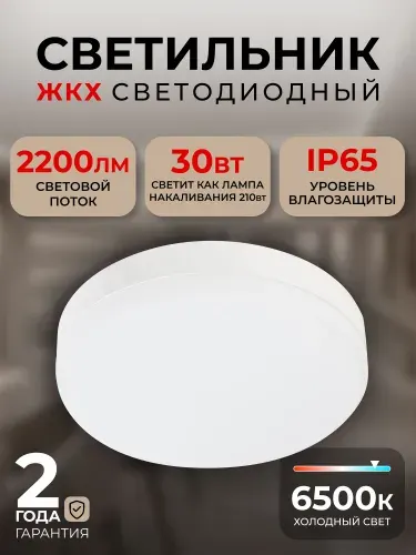 Светильник светодиодный влагозащищенный ЖКХ BT Круг 30Вт 6500K IP65