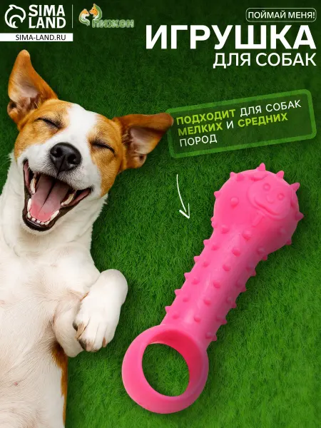 Пижон Игрушка-дразнилка Поймай меня!, Tpr, 9,5 см, розовая