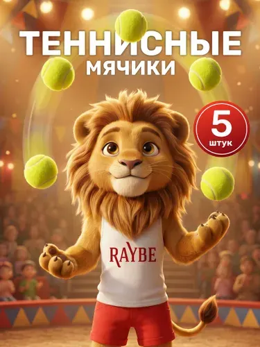 Raybe Мяч теннисный, 5 шт